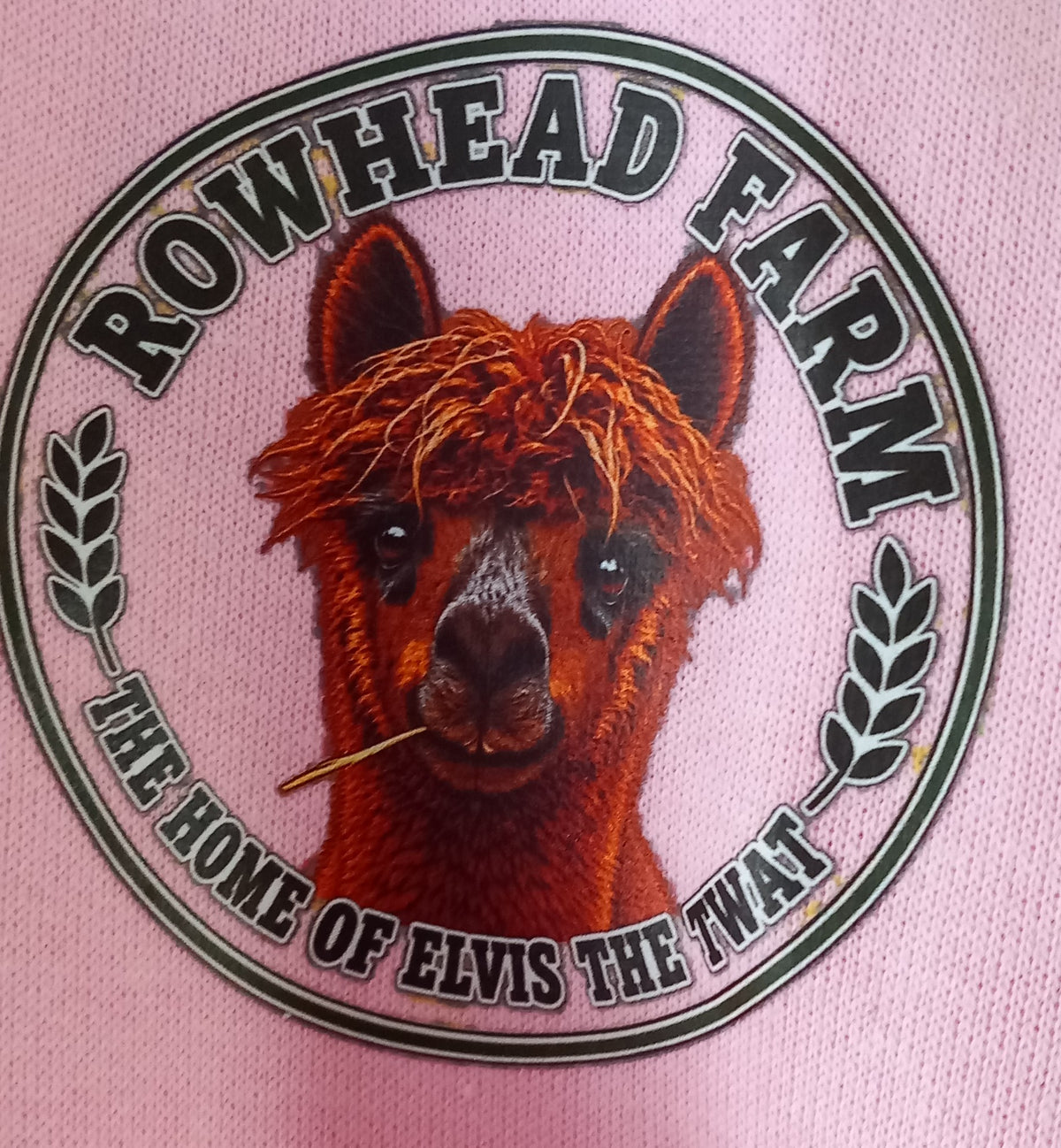 Elvis the twat hoodie