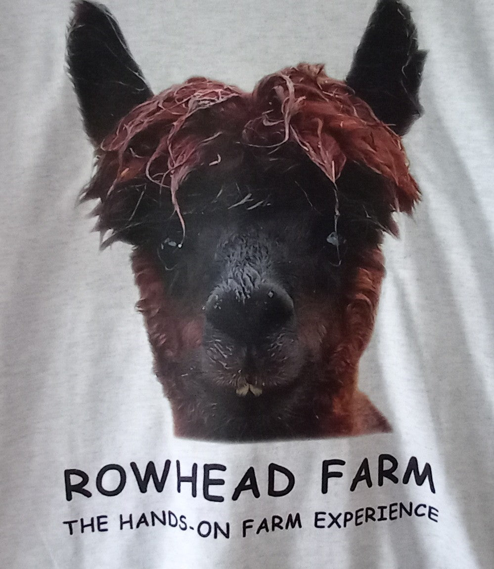 Elvis the Alpaca