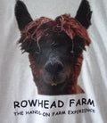 Elvis the Alpaca