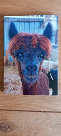 Fridge Magnet Elvis