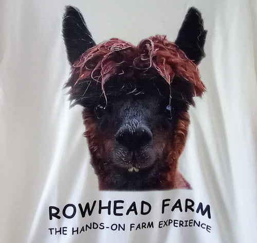 Elvis the Alpaca