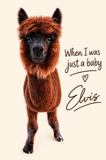 Fridge Magnet Elvis as a baby