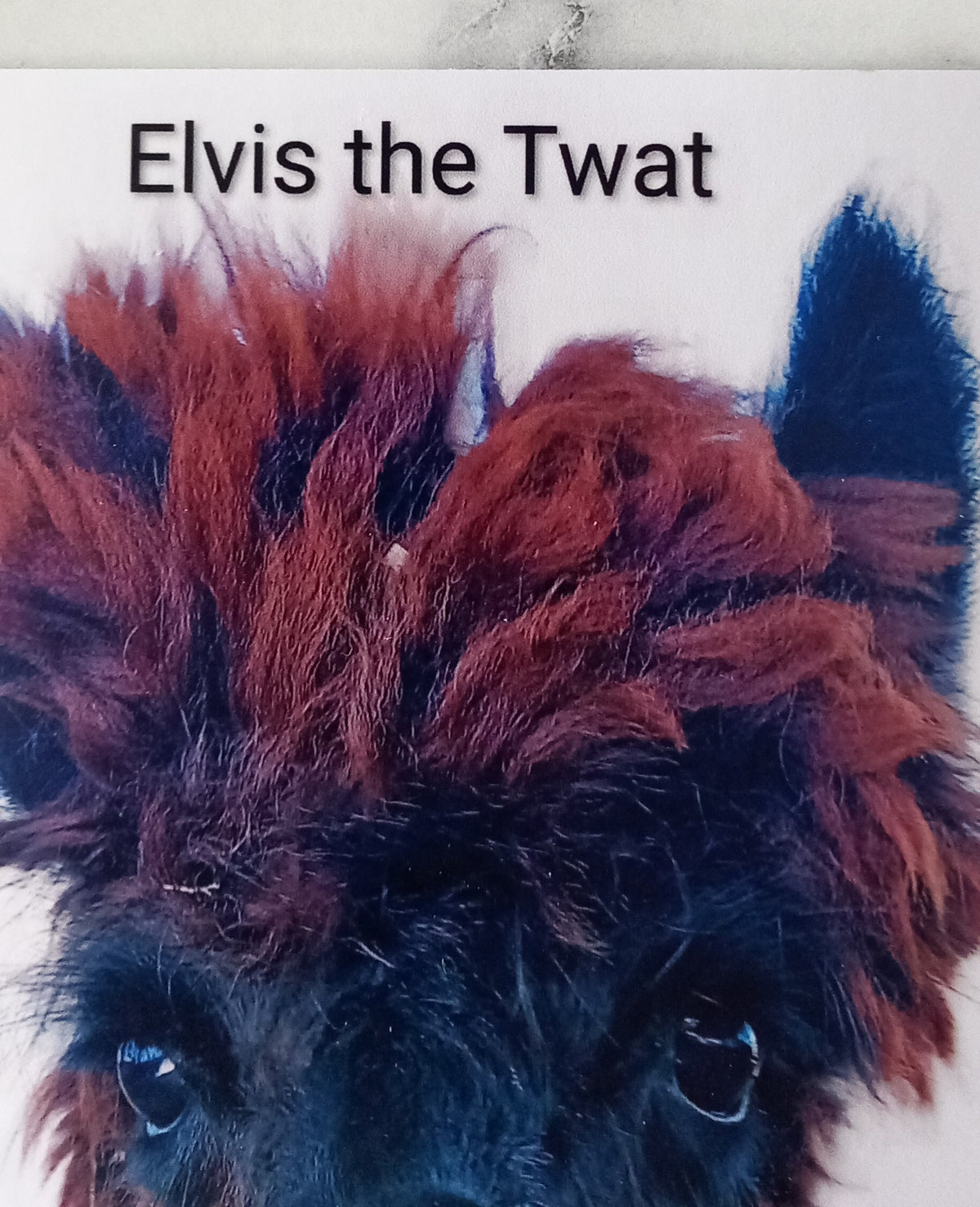 Fridge Magnet Elvis the twat