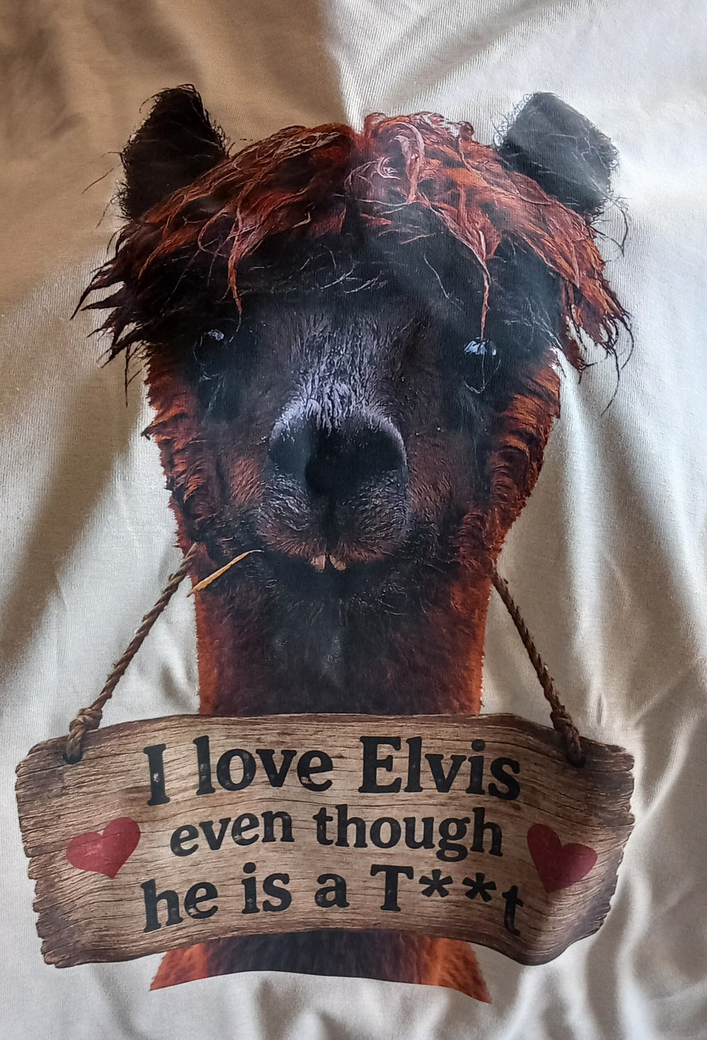 I love Elvis even though he is a t**t t shirt