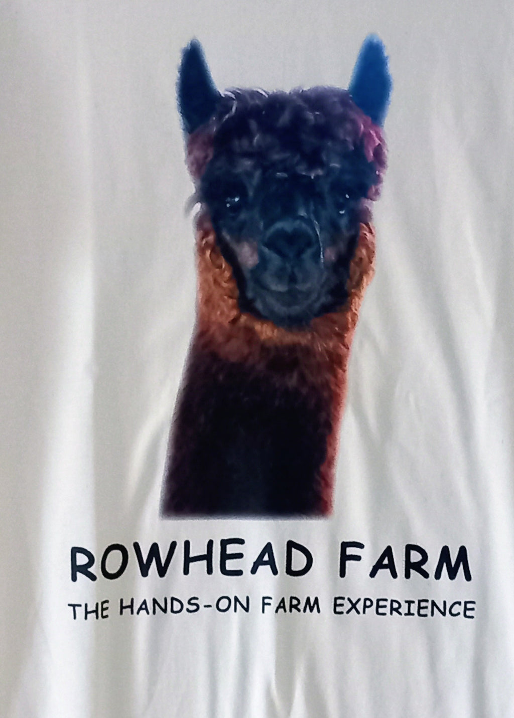 Elvis the Alpaca (limited edition)