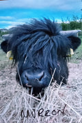 Fridge Magnet Murron