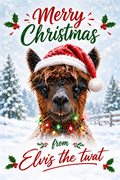 Merry Christmas from Elvis the twat magnet