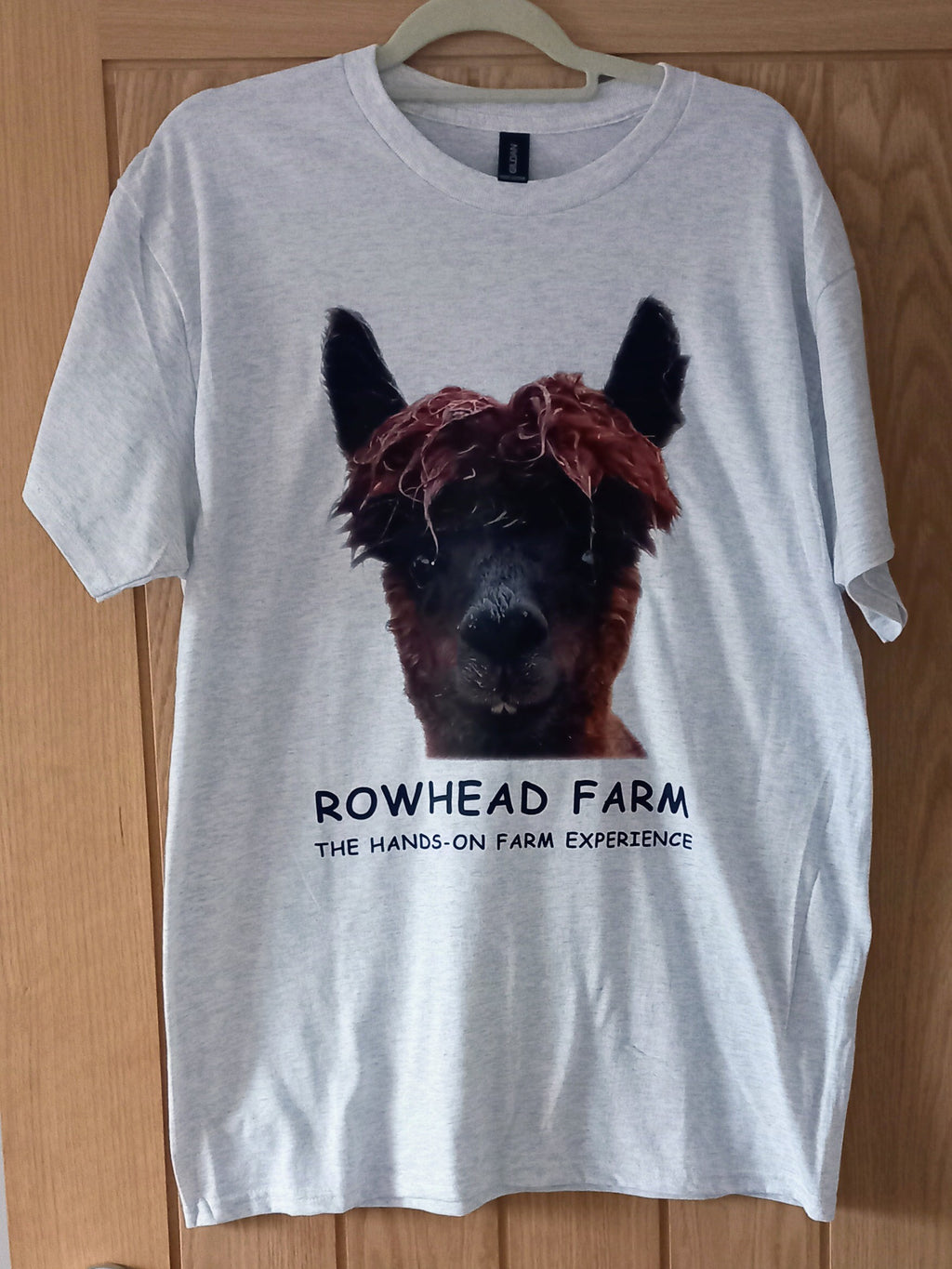 Elvis the Alpaca