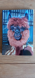 Fridge Magnet Elvis